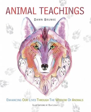Animal Teachings 