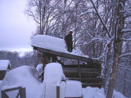 Pete Shoveling Wood Shed Roof